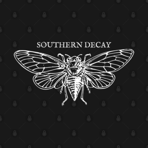 Southern Decay Cicada Insect by Talesbybob