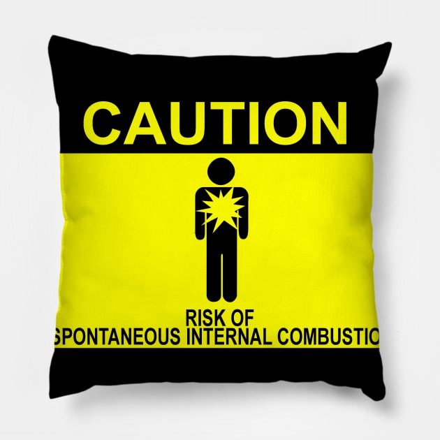 CAUTION risk of explosion Pillow by toastercide