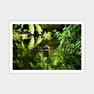 Jungle Duck / Swiss Artwork Photography Magnet