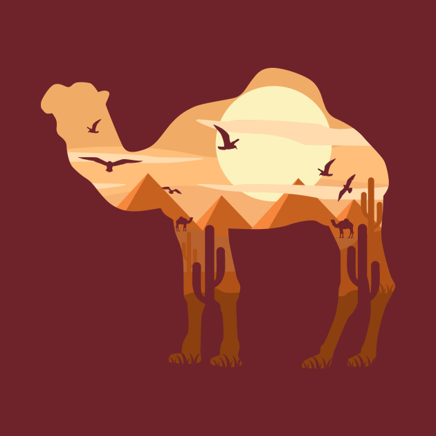 Red Camel Size Chart