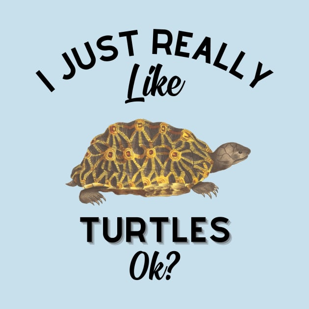 I Just Really Like Turtles OK by GoodWills