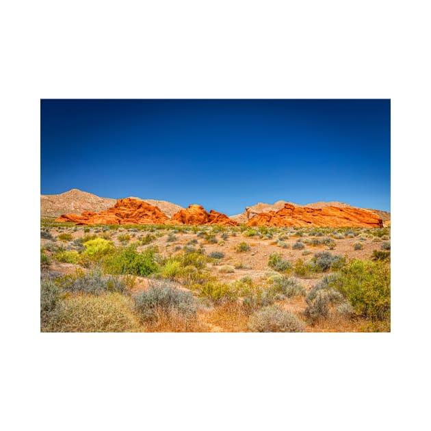 Valley of Fire State Park by Gestalt Imagery