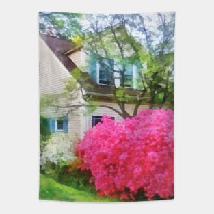 Spring - Magenta Azaleas in Garden Tapestry