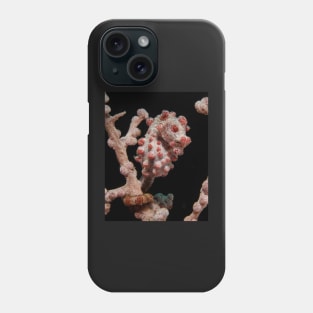 A Pygmy Seahorse in Indonesia Phone Case