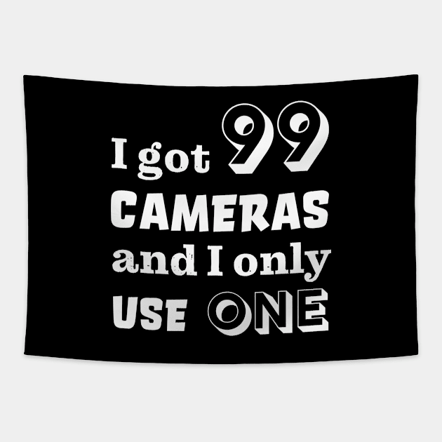 I got 99 cameras and I only use one Tapestry by robertkask