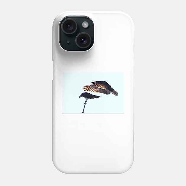 Osprey Phone Case by Jim Cumming