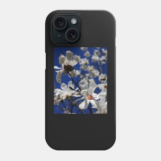 A Stake Through Winter's Heart - Beautiful Magnolia Tree Blossoms Phone Case