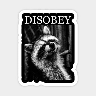 Raccoon Disobey Magnet