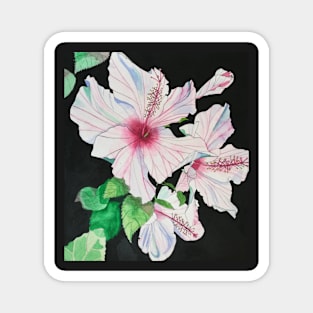 Pink hibiscus watercolour painting Magnet