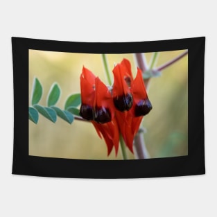 Sturt's Desert Pea, Alice Springs Tapestry