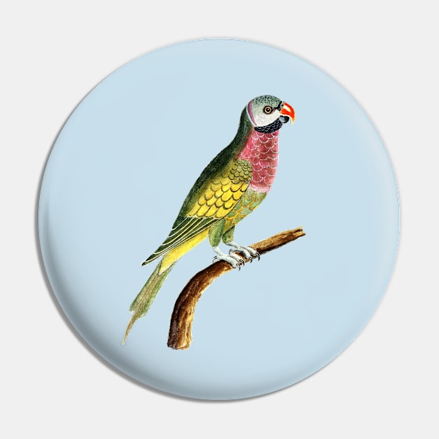 Lovely Colorful Bird Pin by holidaystore