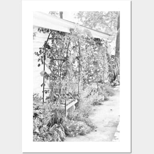 Flower Garden in Simple Gray-scale Solvang CA Canvas Print