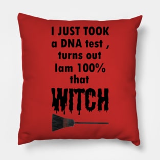 Halloween / Just Took A DNA Test, Turns Out I'm 100% That Witch Pillow