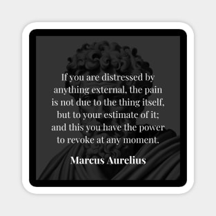 Marcus Aurelius's Wisdom: The Power of Perspective Magnet