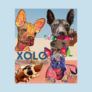 XOLO Darlings (Mexican hairless dogs)  5 puppies T-Shirt