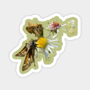 Little Cuties Skipper Butterflies on Flowers Magnet