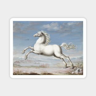 WHITE HORSE IN BLUE SKY Antique Animal Drawing Magnet