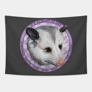 It's alright to cry // sad opossum Tapestry