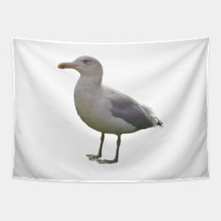 Seagull Tapestry