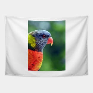 Rainbow Lorikeet Tapestry