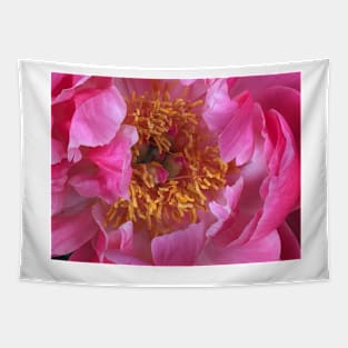 Pretty Pink Peony Tapestry