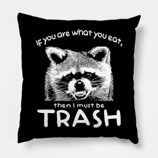 If you are what you eat Raccoon Pillow