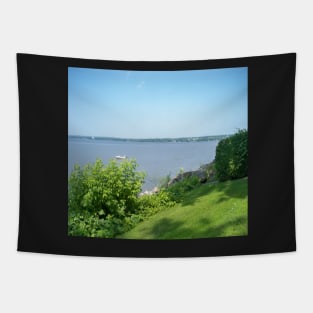 Water view Tapestry