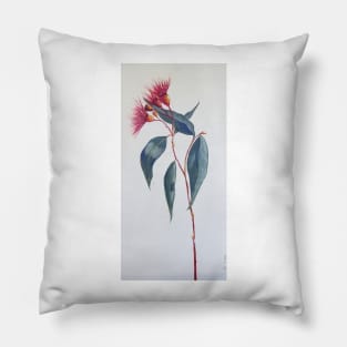 Red Gumnut flower Stem Pillow