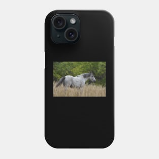 Wild Grey Horse Phone Case