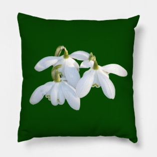 Springtime flowers Pillow