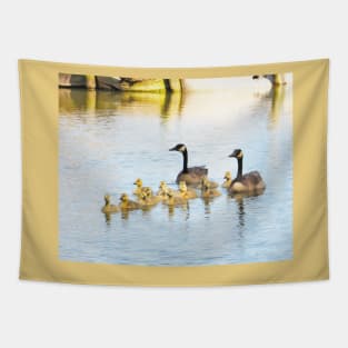 Family Afloat Canada Geese & Goslings No.1 Tapestry