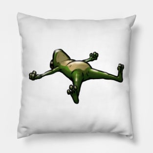 Mood Frog Pillow