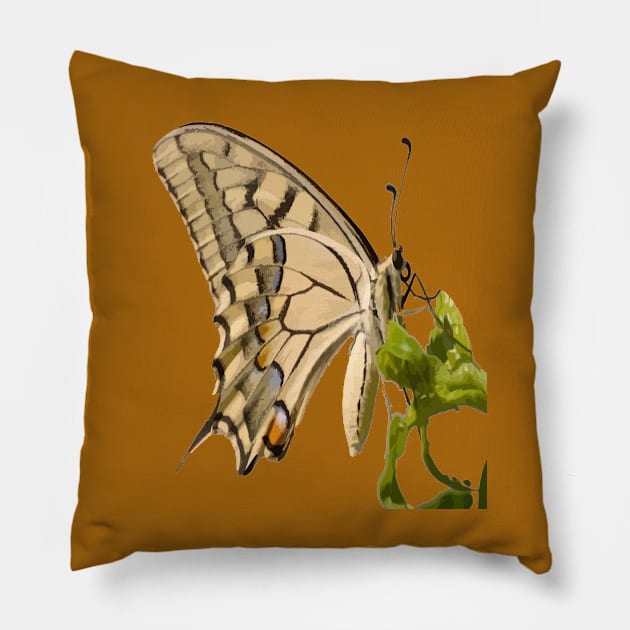 Swallowtail Butterfly Vector Isolated Pillow by taiche