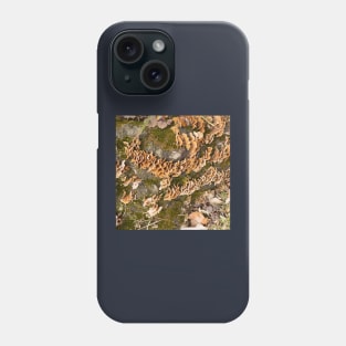 Bracket fungus Phone Case