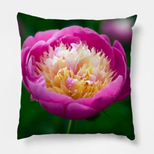 Pink Peony Pillow