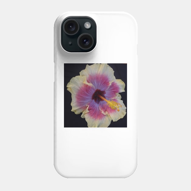 Hibiscus 1 Phone Case by jennyleeandjim