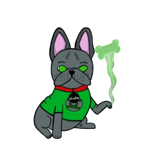 Green Lantern French Bulldog T-Shirt