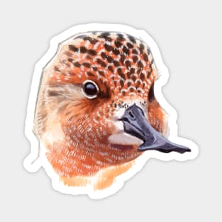 Spoon-billed Sandpiper Magnet