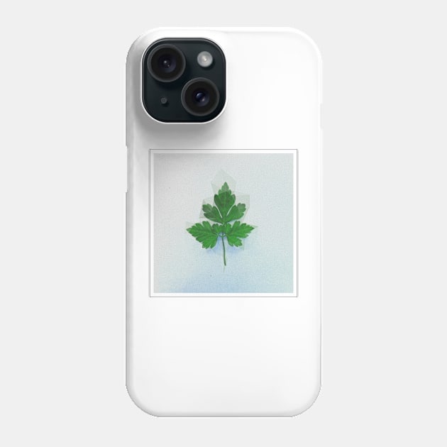 Real Floral Flower Plant 12 Phone Case by Podi Shawna