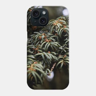 Yew Land. Phone Case