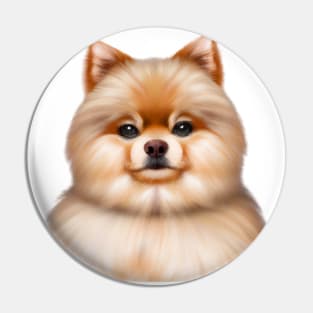 Cute Pomeranian Drawing Pin