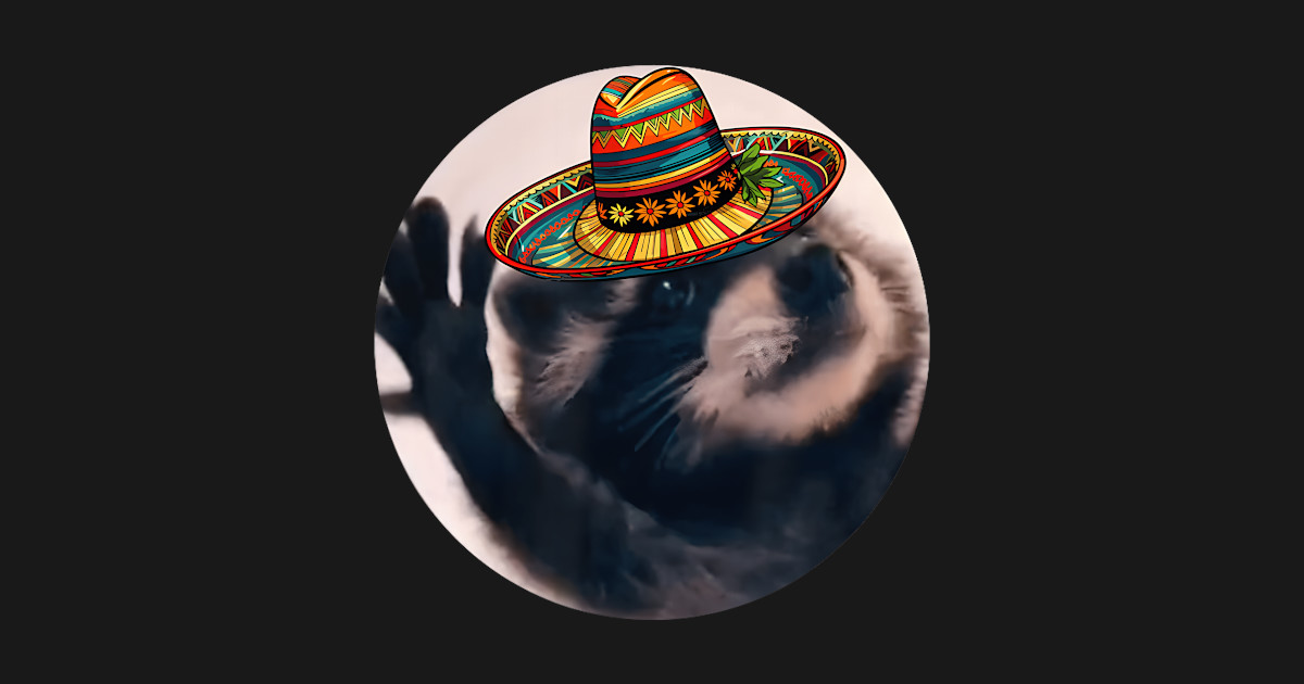 Pedro Racoon Dance Popular Meme - Pedro Racoon Dance - T-Shirt | TeePublic