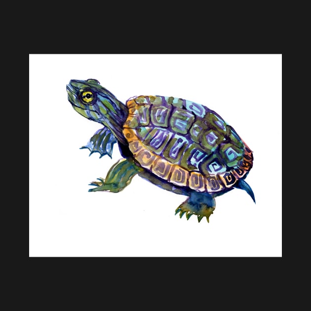 River Turtle, Slider, Turtle artwork by surenart