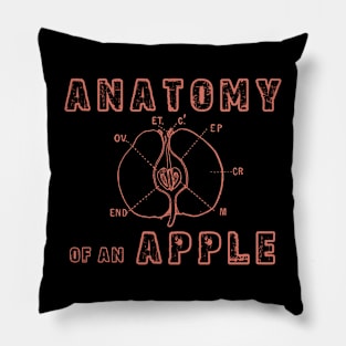 Anatomy Of An Apple Pillow