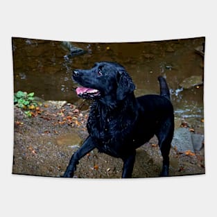 Black Labrador Tapestry