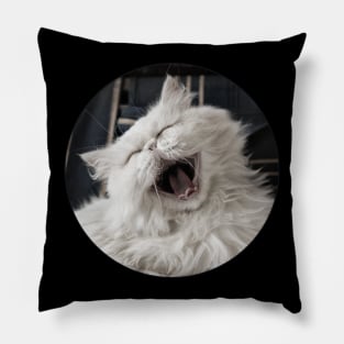 They say that NOTHING beats a good belly laugh! Pillow