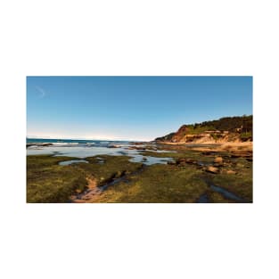 Otter Crest Beach Oregon T-Shirt