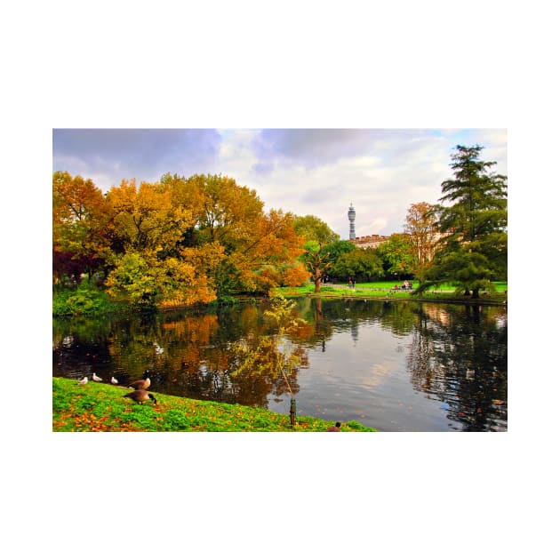 Autumn Trees Regent's Park London England by AndyEvansPhotos