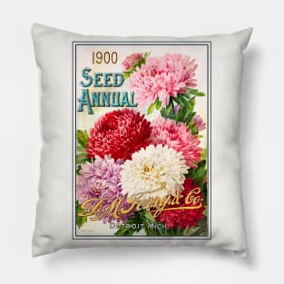 D.M Ferry & Co seed catalogue, 1900 Pillow