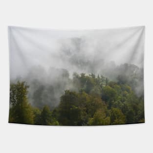 Forest & Fog Tapestry